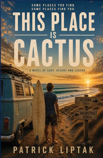 This Place Is Cactus by Patrick Liptak