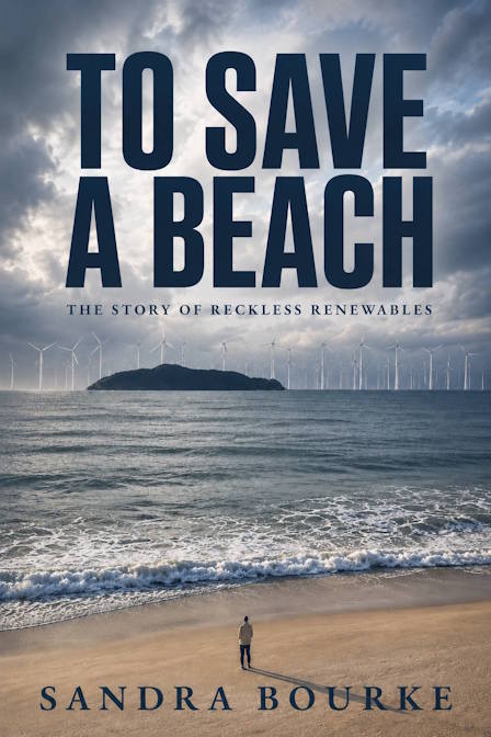 To Save a Beach : The Story of Reckless Renewables by Sandra Bourke